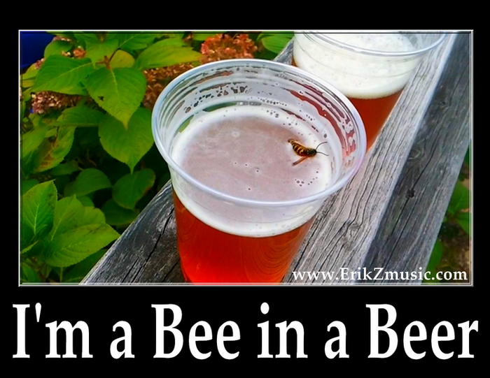 The Drunk Bee in a Beer